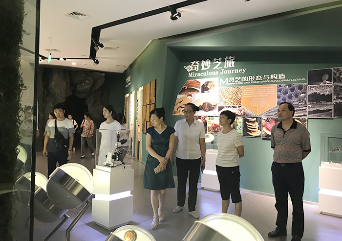 專(zhuān)題報(bào)道