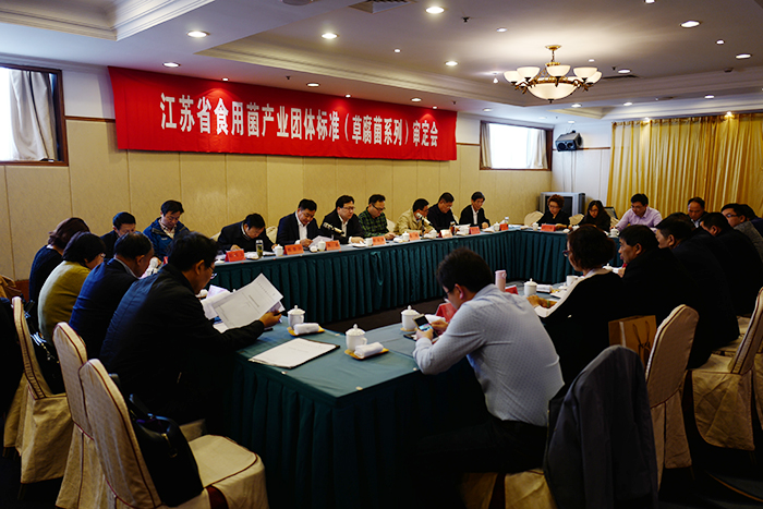 專(zhuān)題報(bào)道