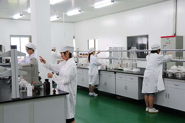 專(zhuān)題報(bào)道