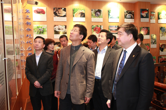 圖片關(guān)鍵詞 圖片關(guān)鍵詞