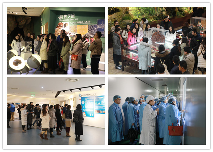 圖片關(guān)鍵詞 圖片關(guān)鍵詞