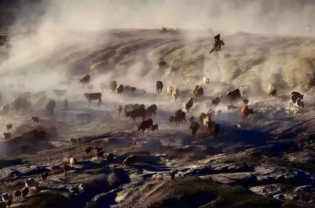 國家蘑菇地理：中國哪里的蘑菇最好吃？