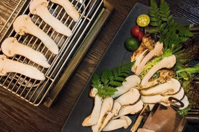 國家蘑菇地理：中國哪里的蘑菇最好吃？