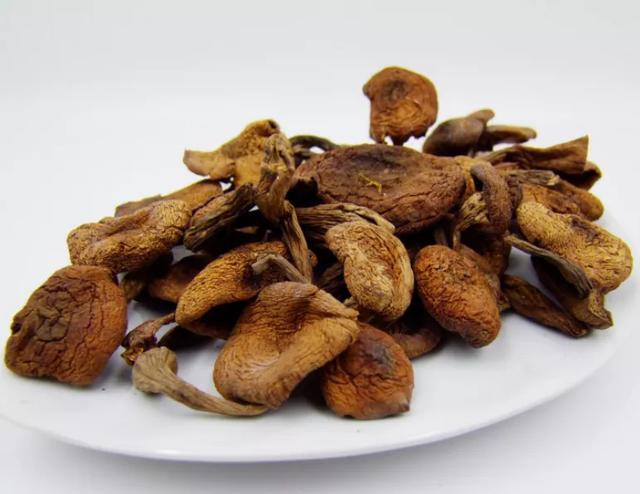 國家蘑菇地理：中國哪里的蘑菇最好吃？