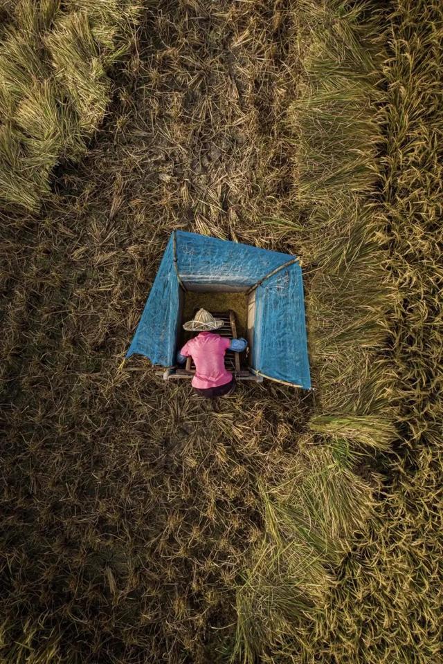 國家蘑菇地理：中國哪里的蘑菇最好吃？