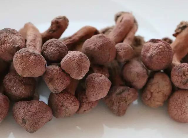 國家蘑菇地理：中國哪里的蘑菇最好吃？