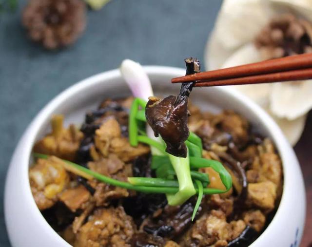 國家蘑菇地理：中國哪里的蘑菇最好吃？