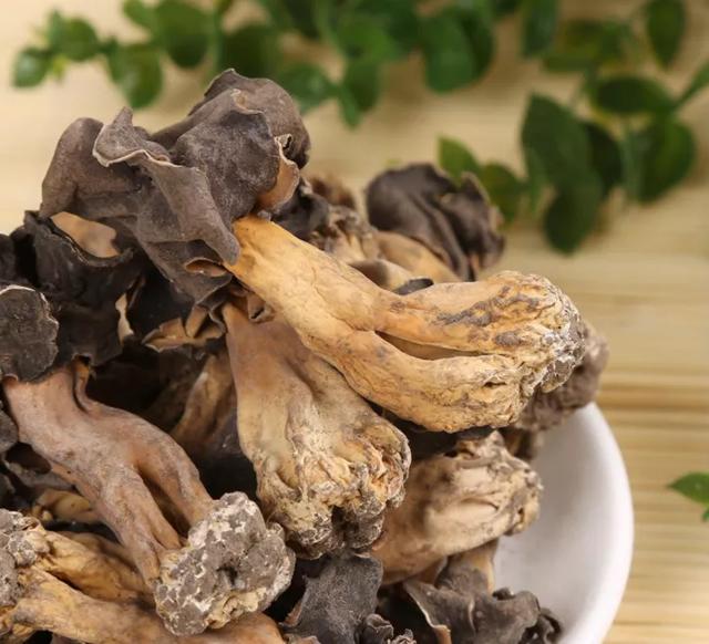 國家蘑菇地理：中國哪里的蘑菇最好吃？