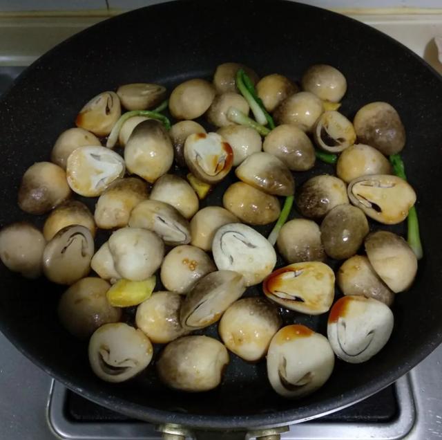 國家蘑菇地理：中國哪里的蘑菇最好吃？