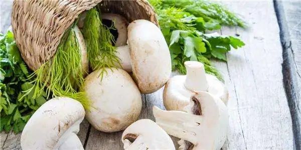 圖片關(guān)鍵詞 https://mmbiz.qpic.cn/mmbiz_jpg/EzTg6Bqtpm0WKZfQibicEjcQDNRWNq3jm7wrcdH7BWCl4Ax9mOtVfCpG30Wfibziaq64Y5md54WeEbtSQu6WFP9EFA/640?wx_fmt=jpeg