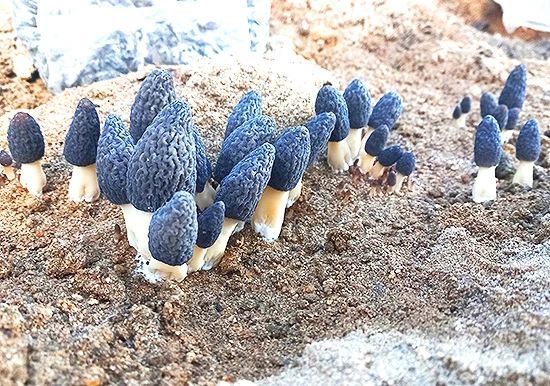 圖片關(guān)鍵詞 圖片關(guān)鍵詞