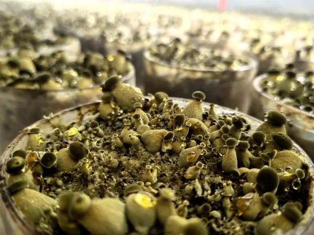 圖片關(guān)鍵詞 圖片關(guān)鍵詞