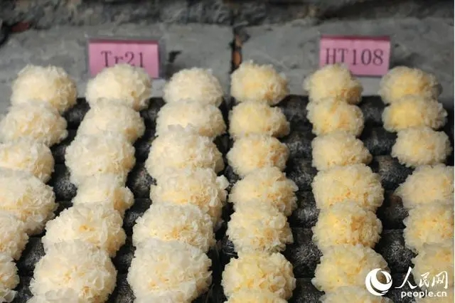 圖片關(guān)鍵詞