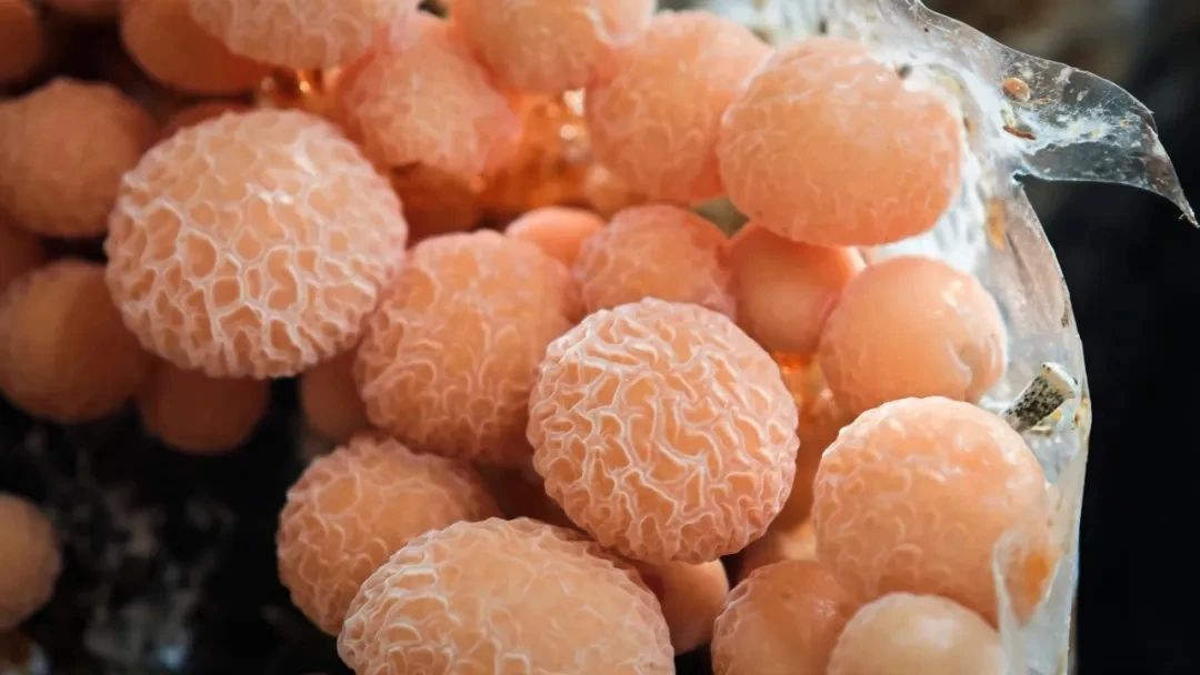 圖片關(guān)鍵詞