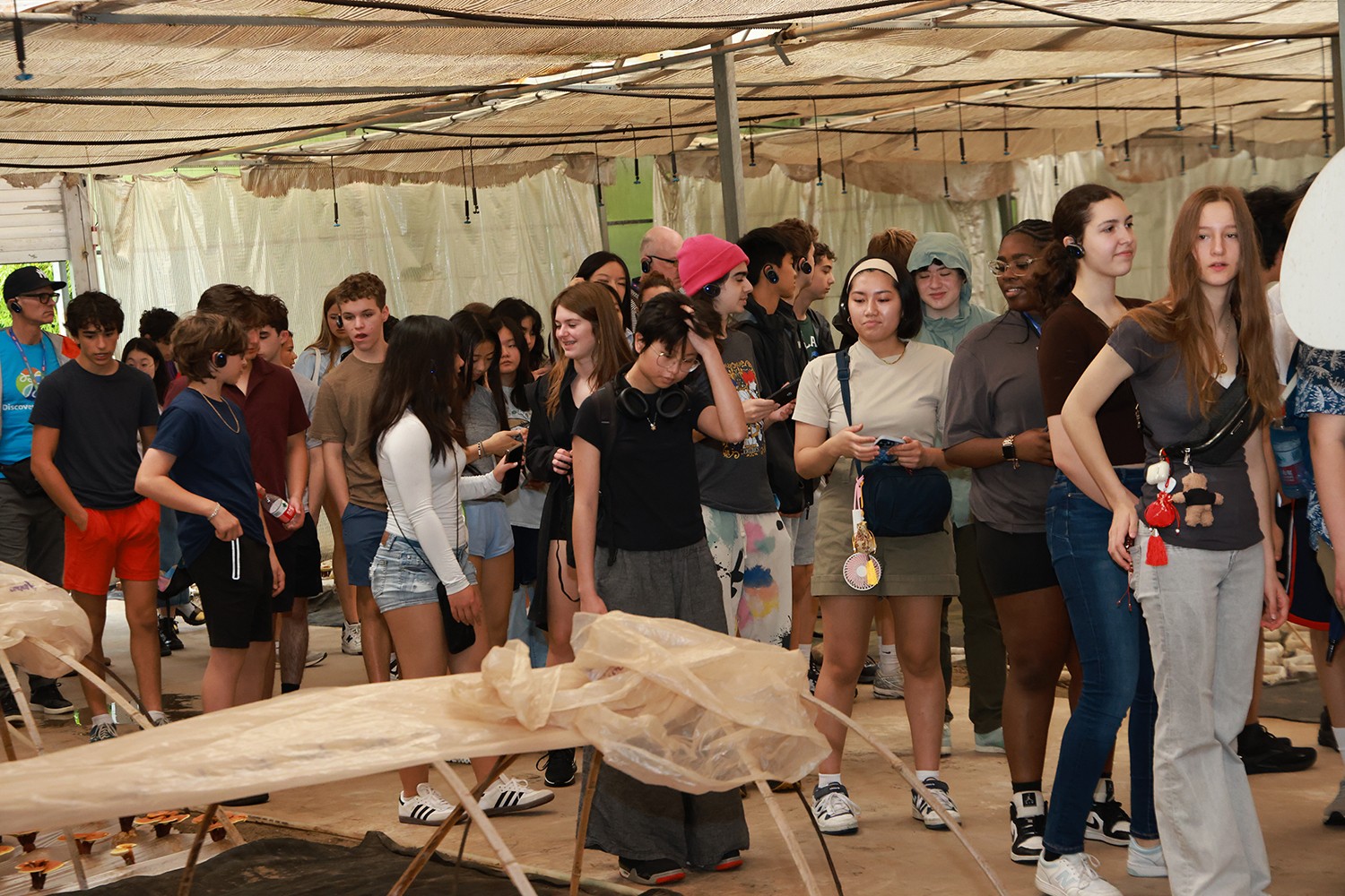 圖片關(guān)鍵詞