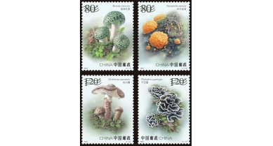 行業(yè)動態(tài)