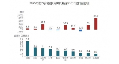 行業(yè)動態(tài)