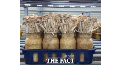 行業(yè)動(dòng)態(tài)