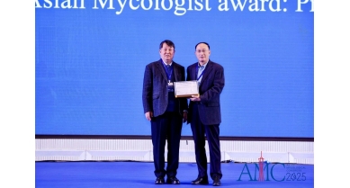 行業(yè)動態(tài)