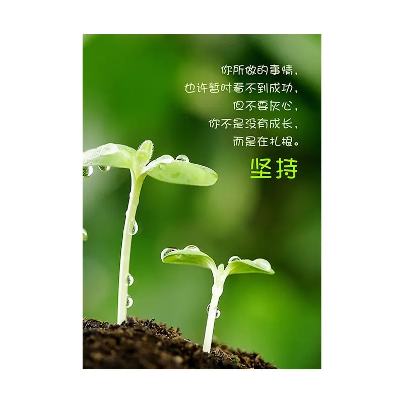 兔年開(kāi)工大吉