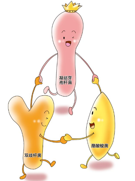 如何給寶寶選擇益生菌？