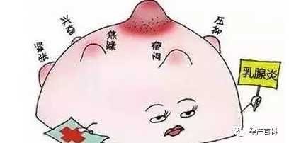 哺乳期乳腺炎，慎用抗生素！