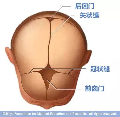 寶寶的囟門很重要，出現(xiàn)這3種異常要當(dāng)心！