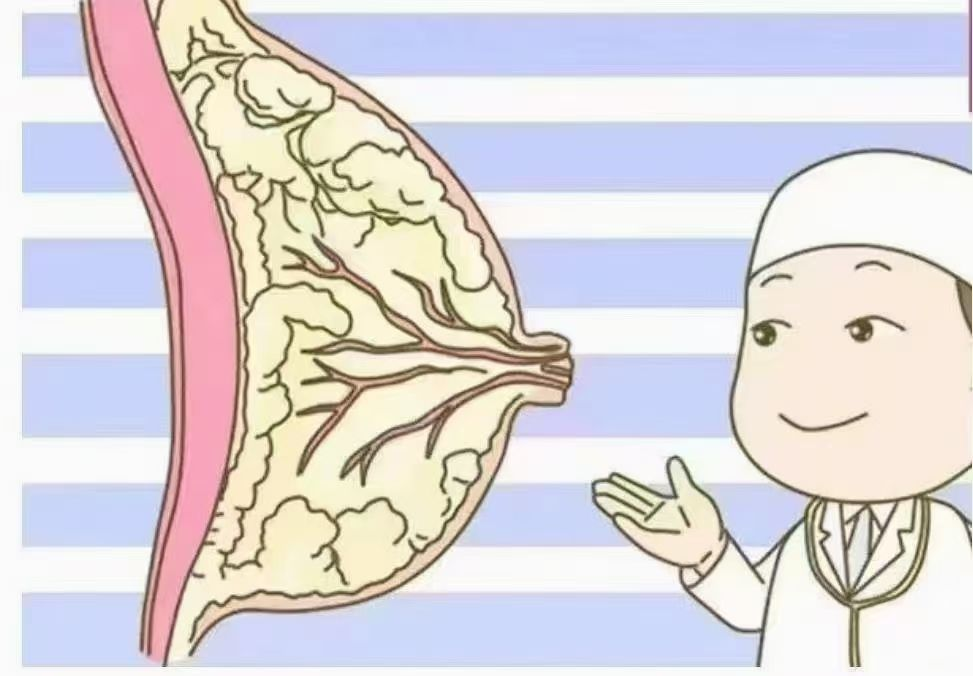 6步疏通奶結(jié)，告別乳房脹痛，月嫂必學(xué)！